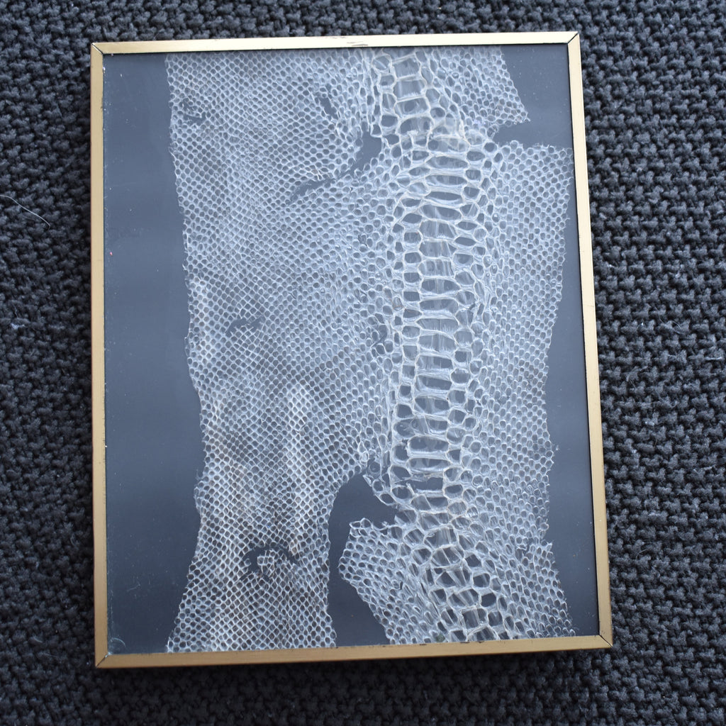 Framed artwork of a textured pattern on a dark fabric background