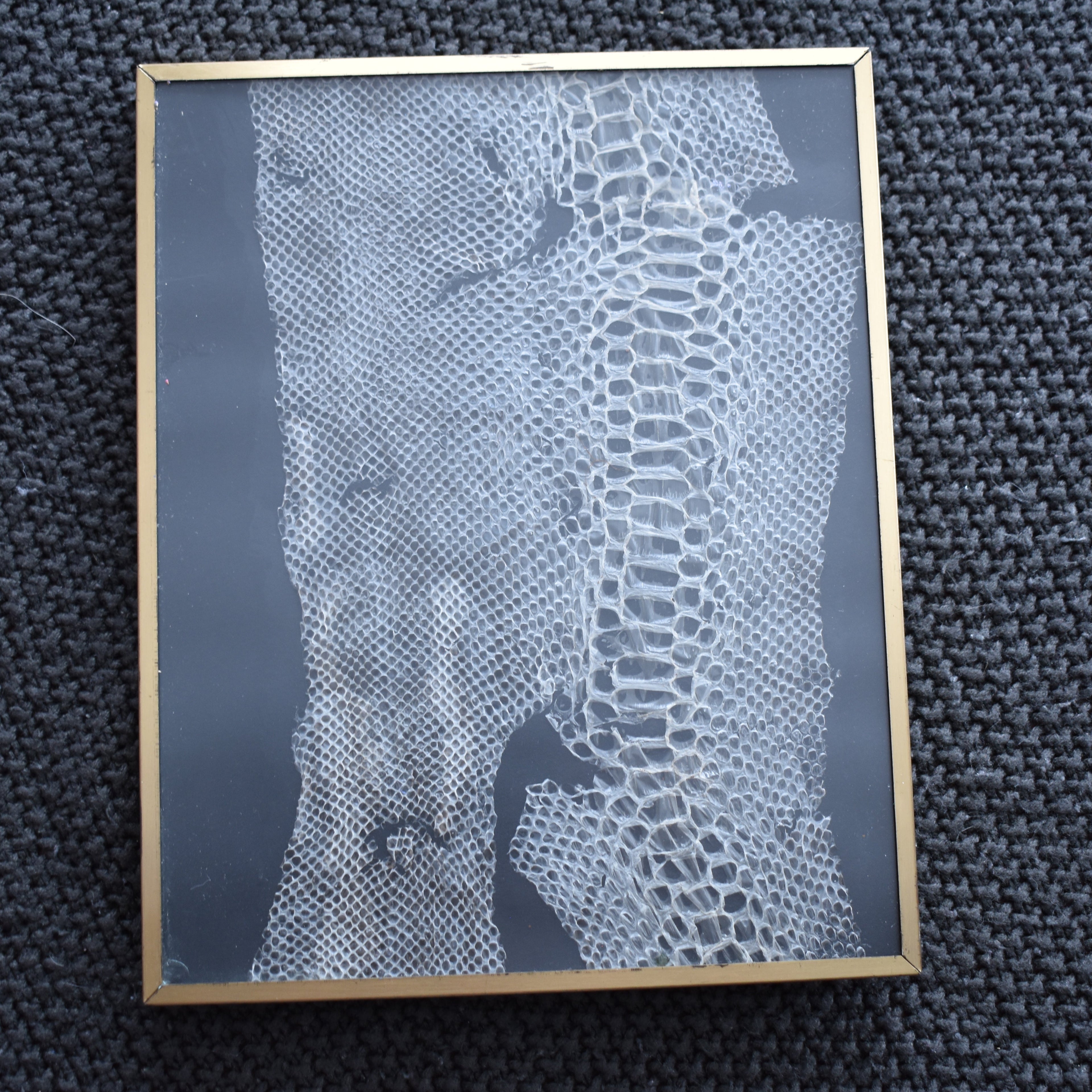 Framed artwork of a textured pattern on a dark fabric background