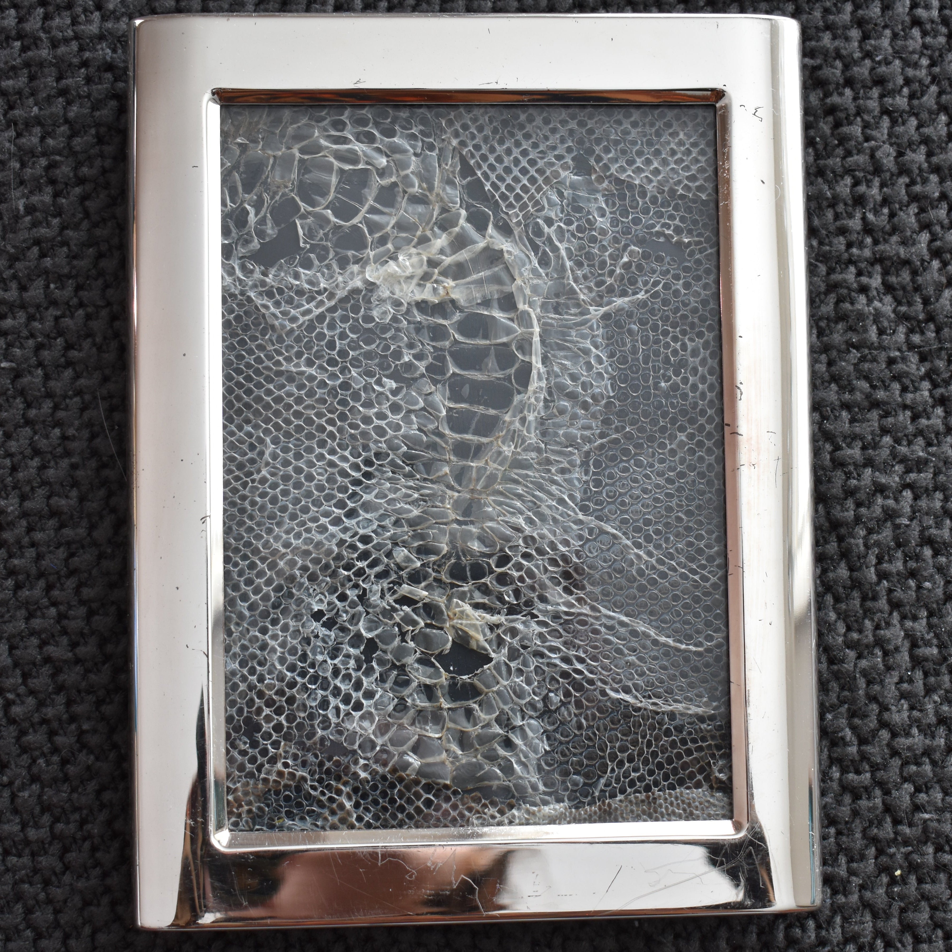 Silver Garden,  8.5"x 6.5" Original