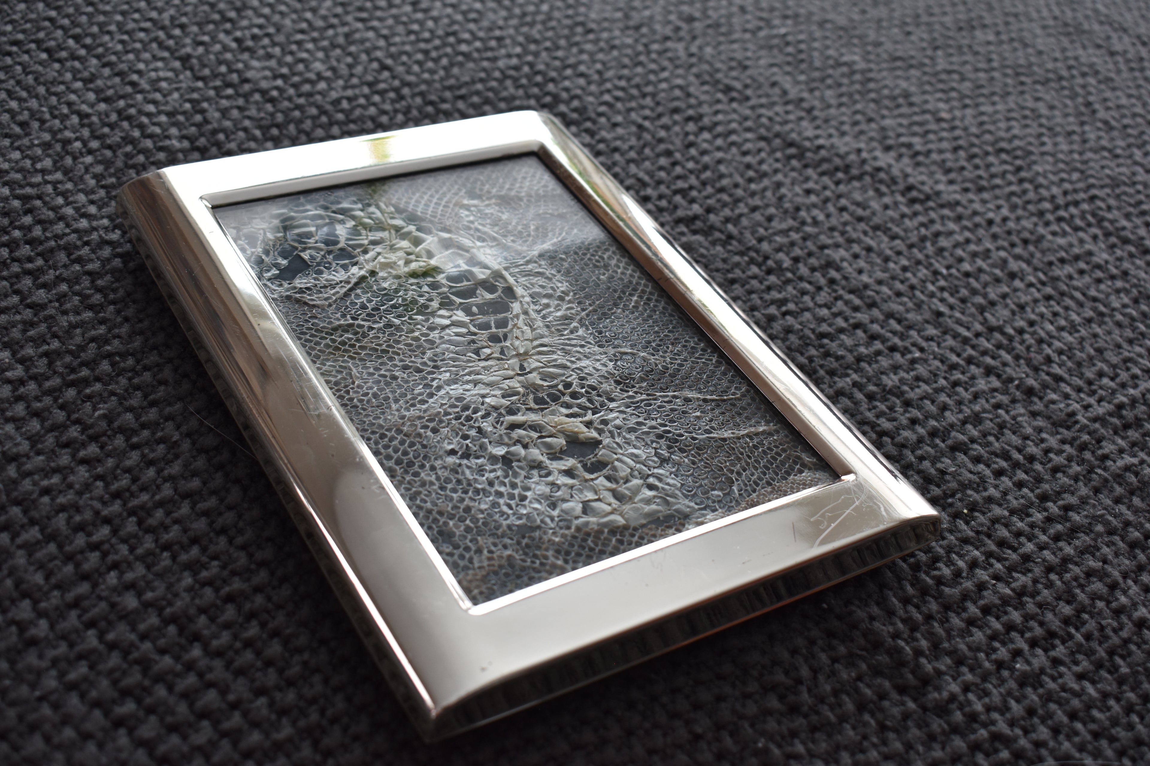 Silver Garden,  8.5"x 6.5" Original