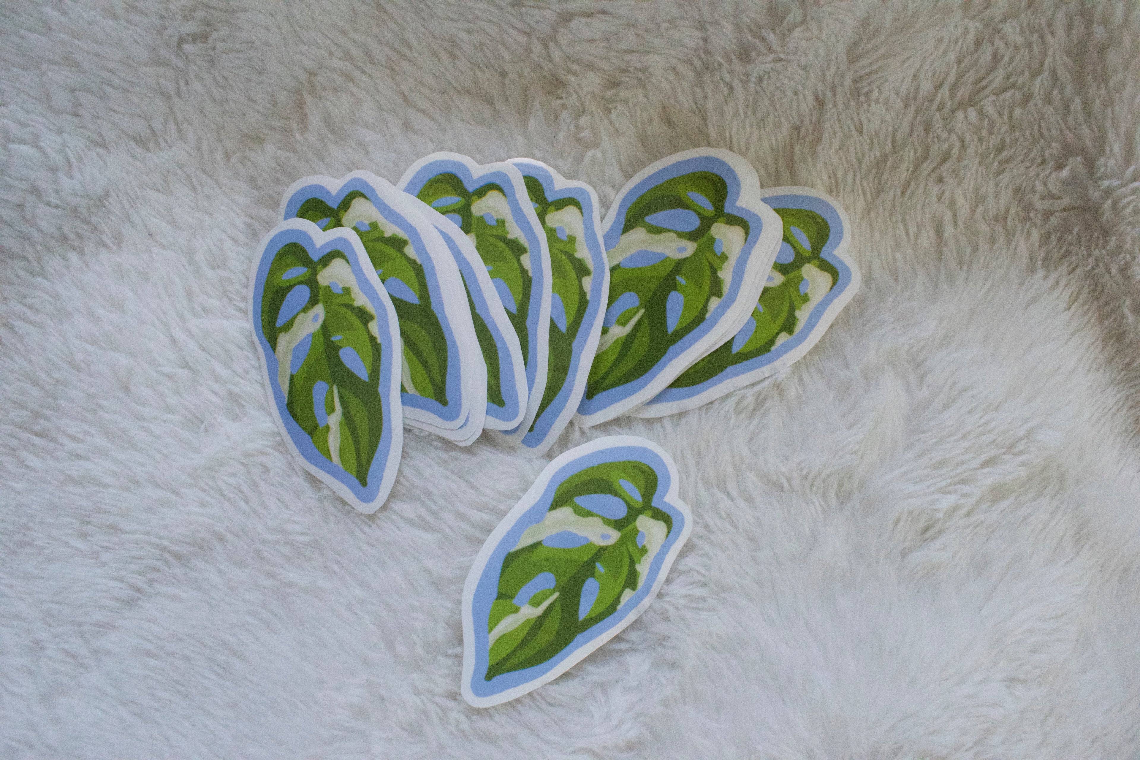 Monstera Adansonii leaf sticker