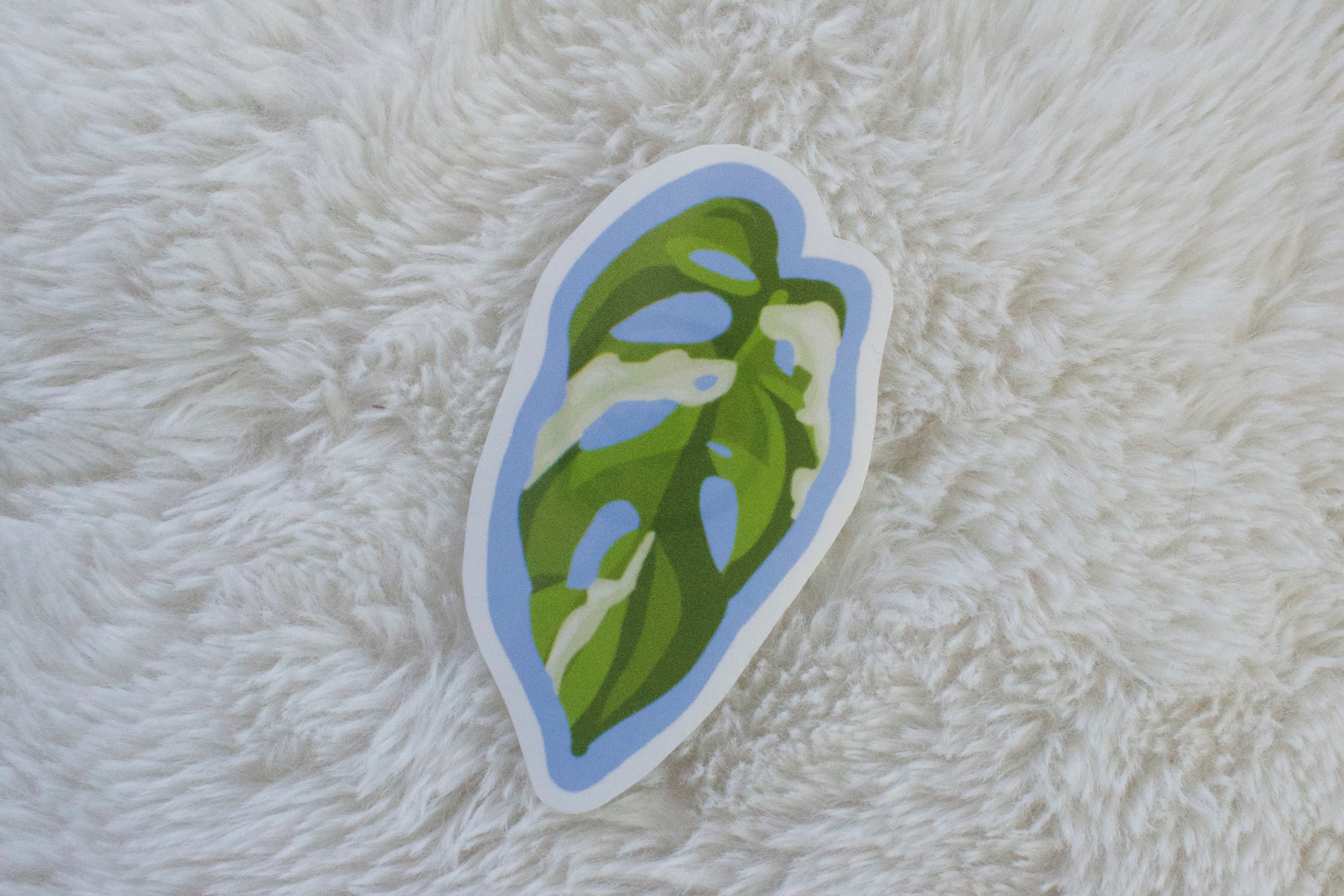 Monstera Adansonii leaf sticker