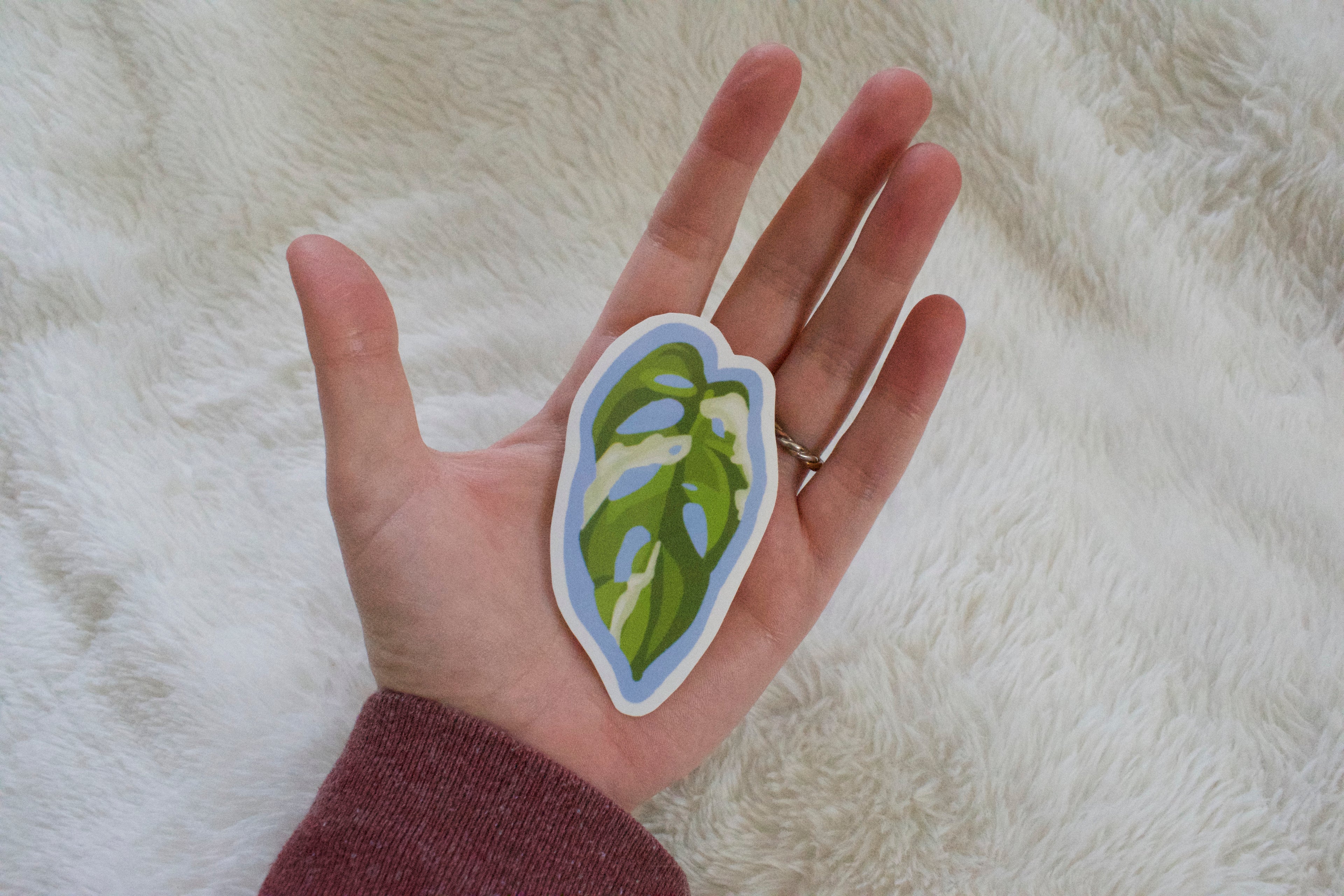 Monstera Adansonii leaf sticker