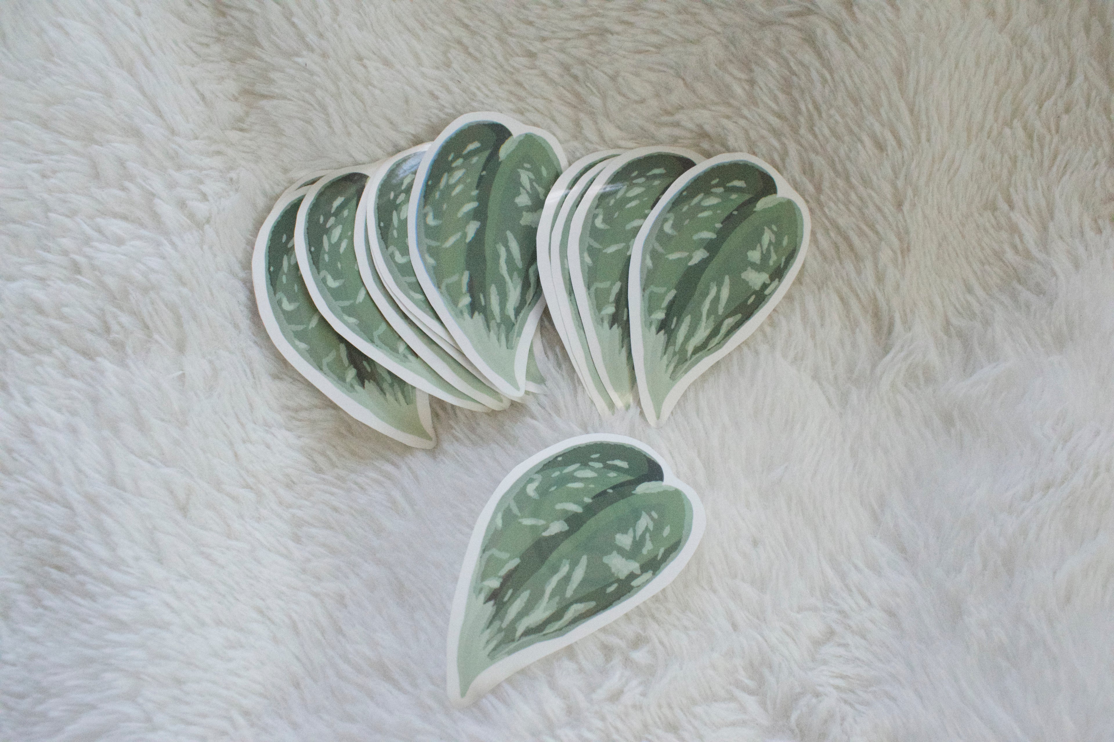 Satin Pothos Sticker