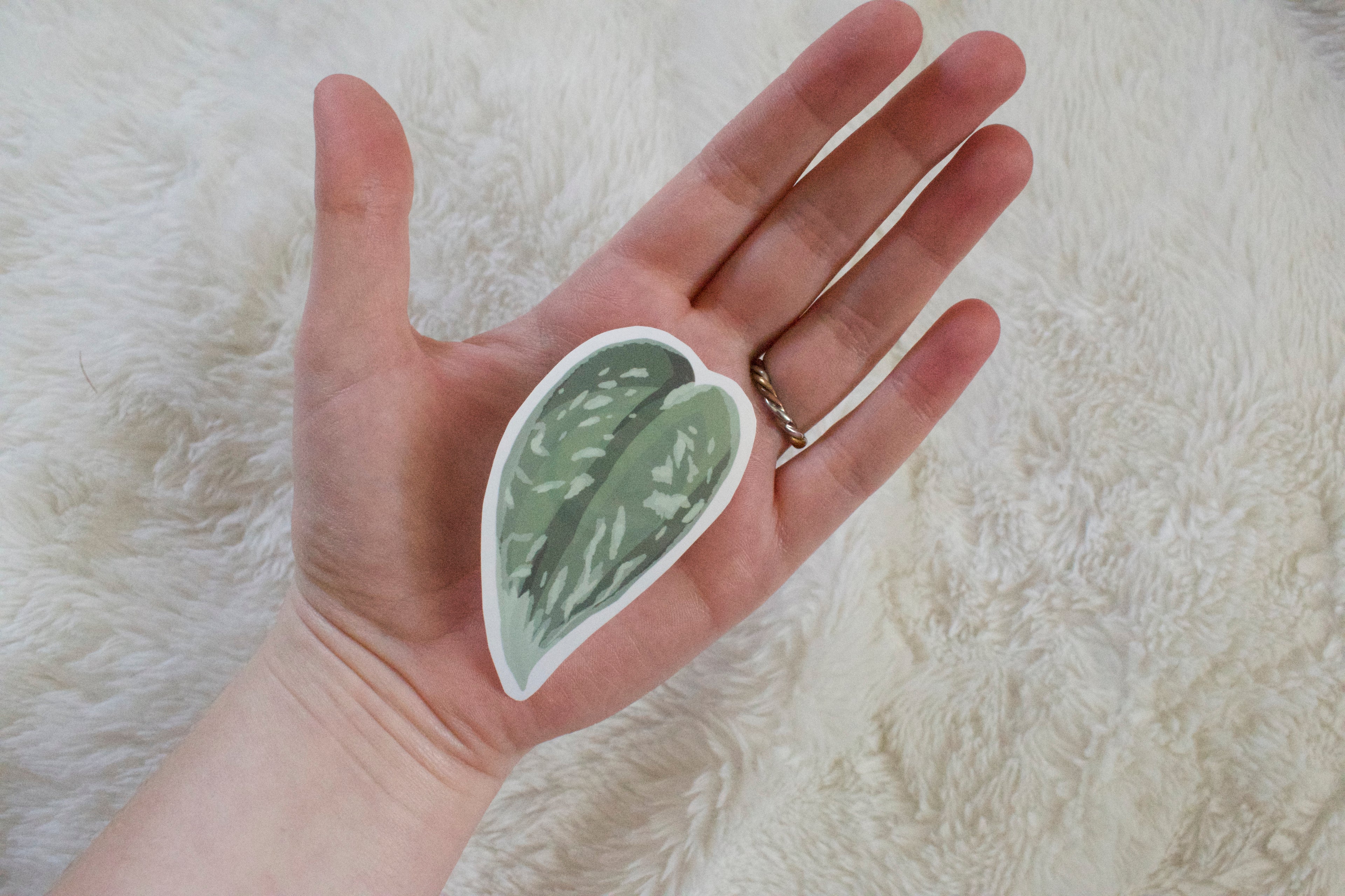 Satin Pothos Sticker